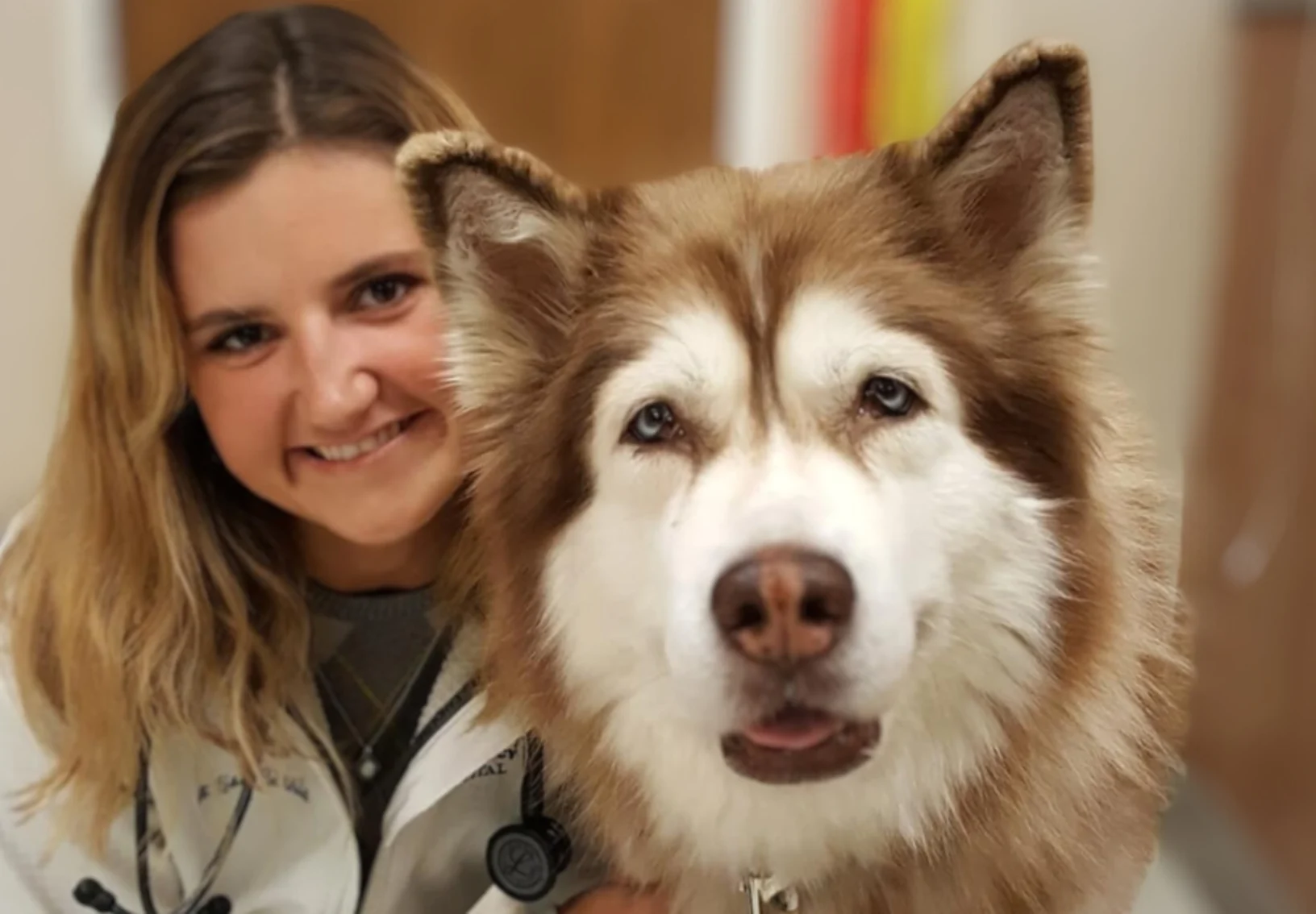 Careers Animal Emergency & Specialty Hospital Byron Center Careers Animal Emergency & Specialty Hospital Byron Center